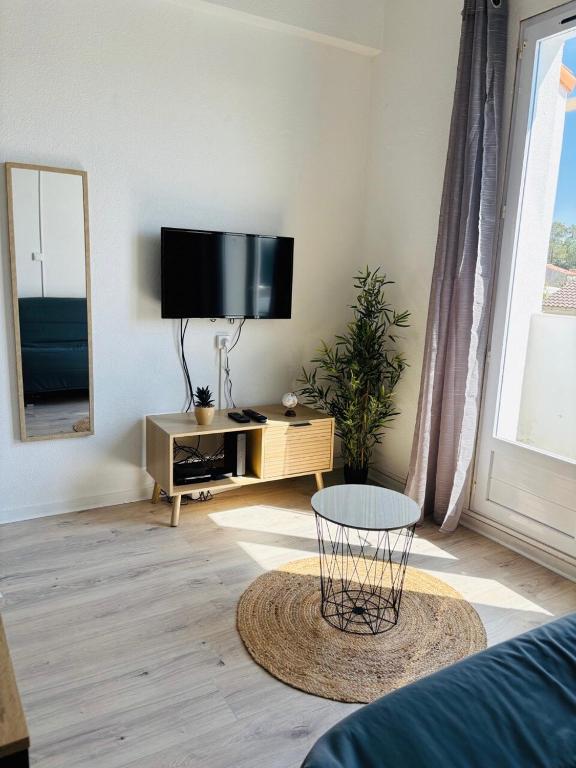 Duplex cosy neuf - wifi - balcon - en bordure de forêt de pins - proche plage - 3