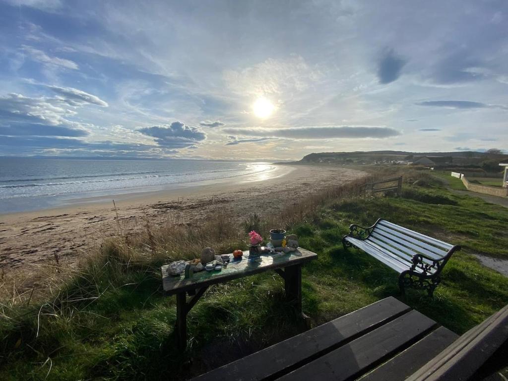 Cosy Fisherman Cottage, Shandwick photo 5