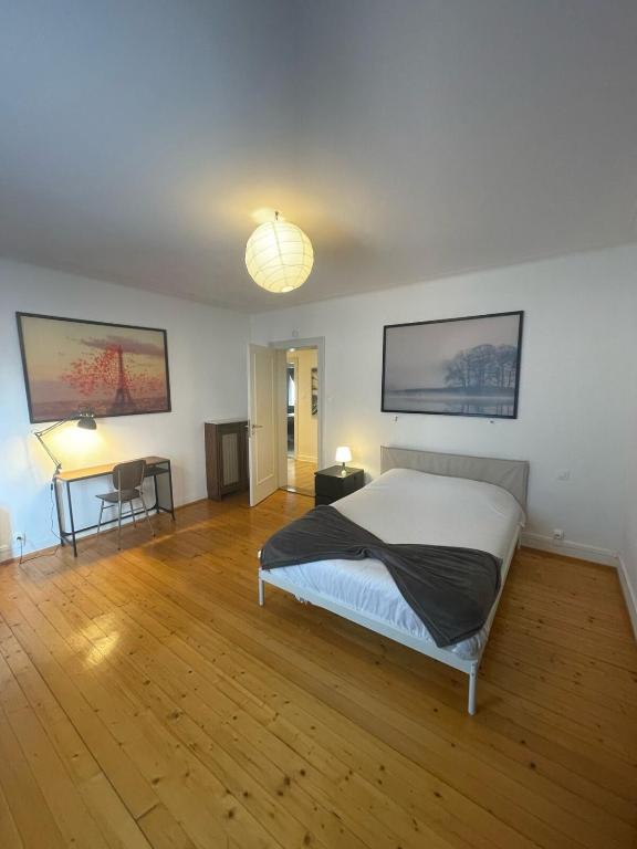 Large Apartment Free Parking Mulhouse - 1