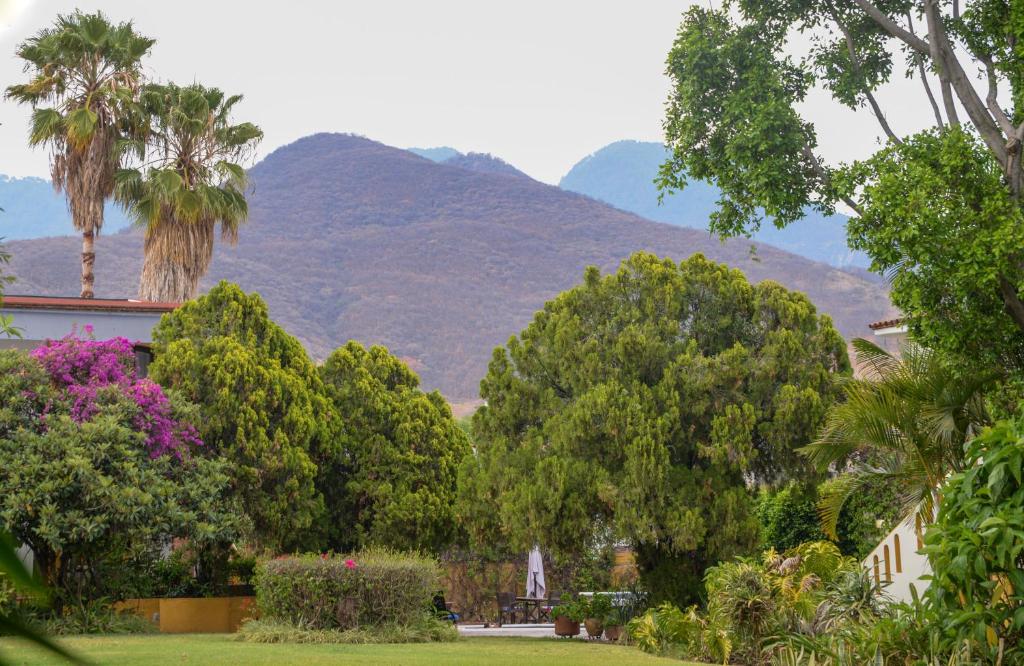 Hotel Hacienda Los Laureles - 3