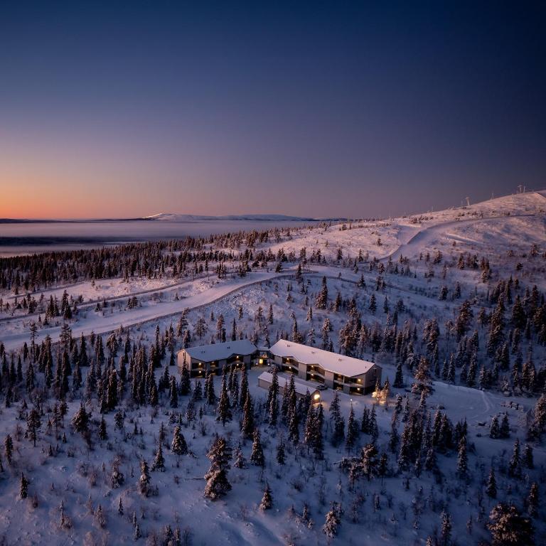 Penny & Casper - Aurora Heights, Levi