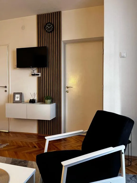 Apartman RISTIC，位于弗拉涅的酒店