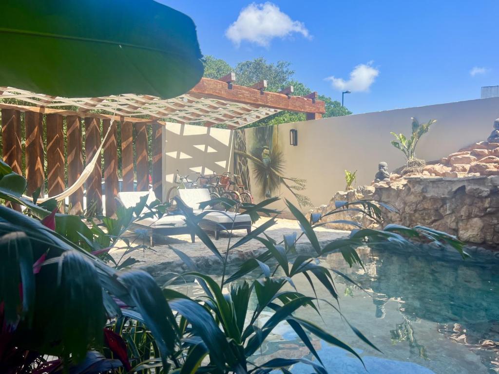 Ha'as Naj Suites Bananas - 4