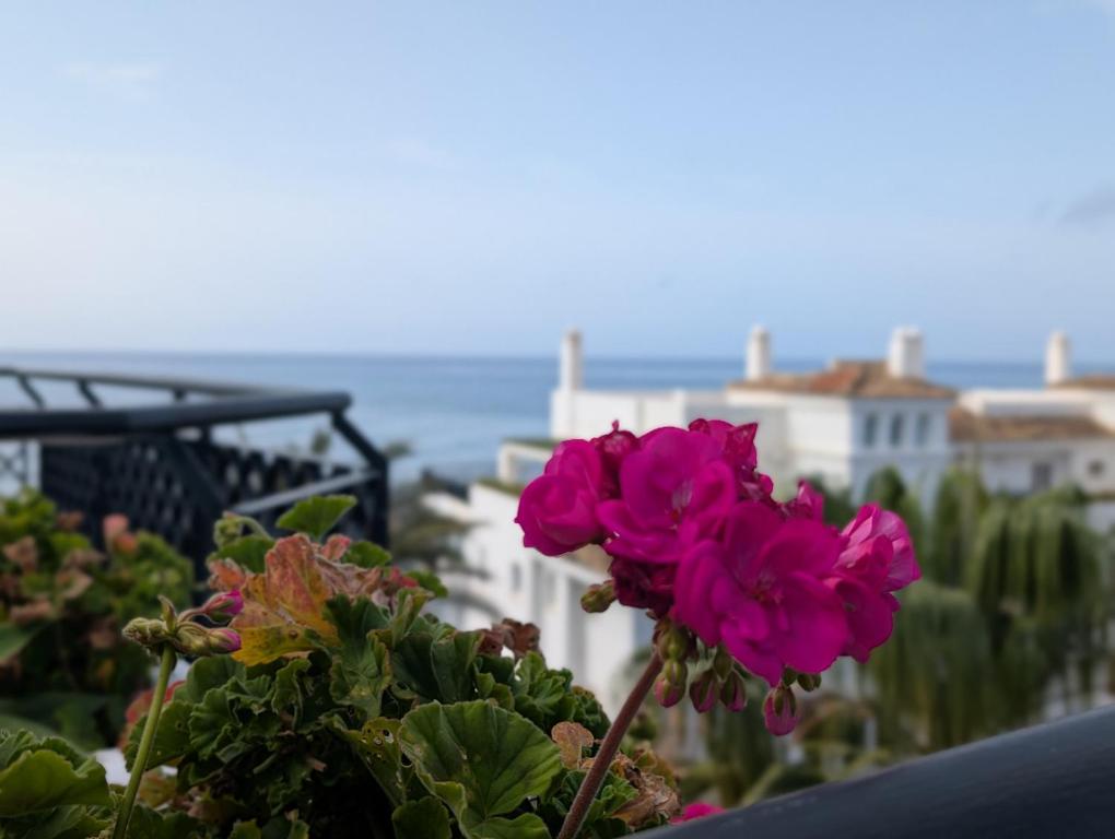 Beautiful first line Penthouse with Sea View Mi Capricho - 4