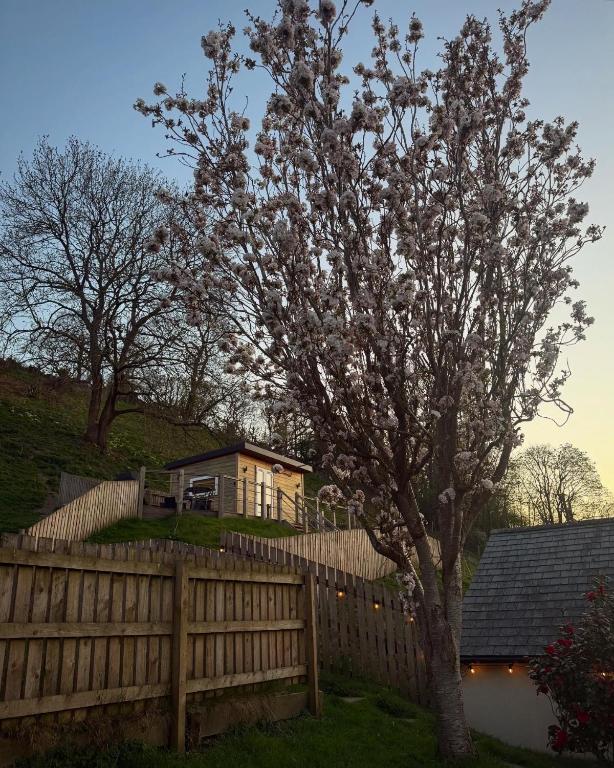 Castle View chalet, Llangollen