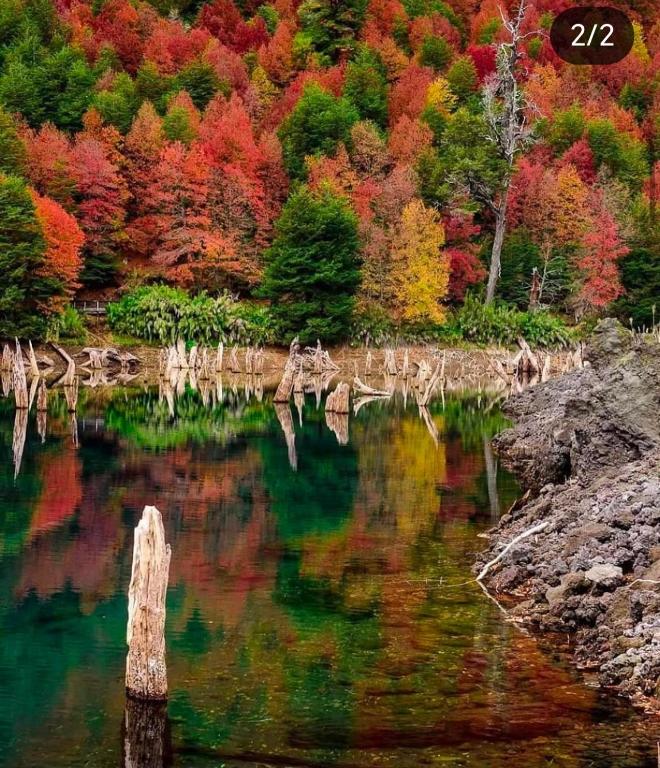 Brisas del llaima - 2