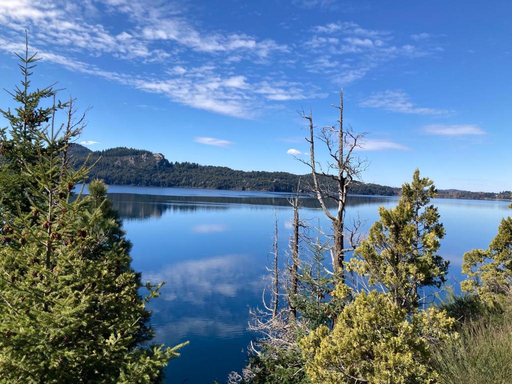 House in the Woods - 3