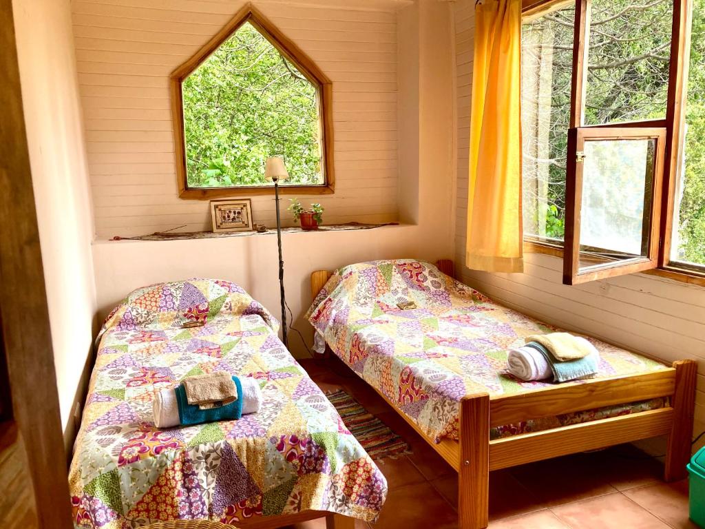 House in the Woods - 5