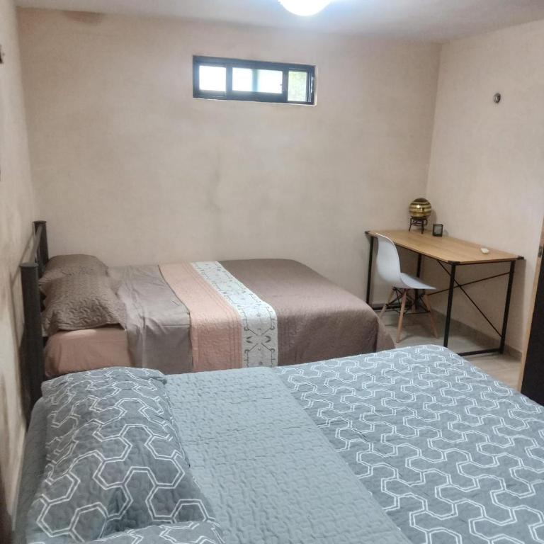 Casa Siglo XXI - 3