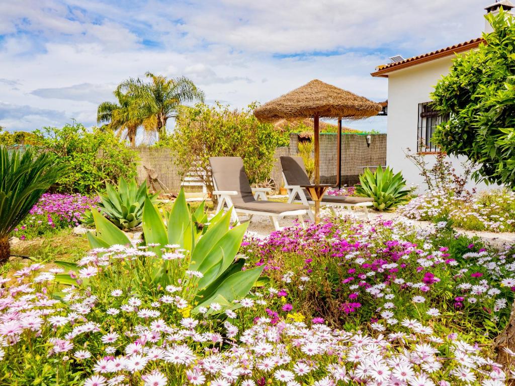 Cubo's Finca Pati - 3