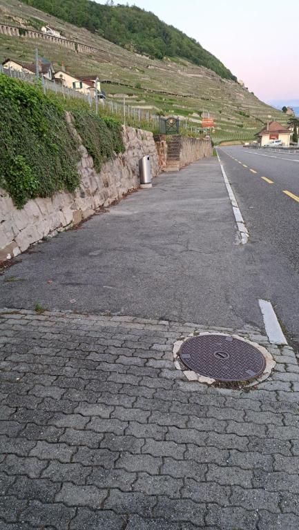 "Les Échalas" La capite, domaine de Calamin - 4