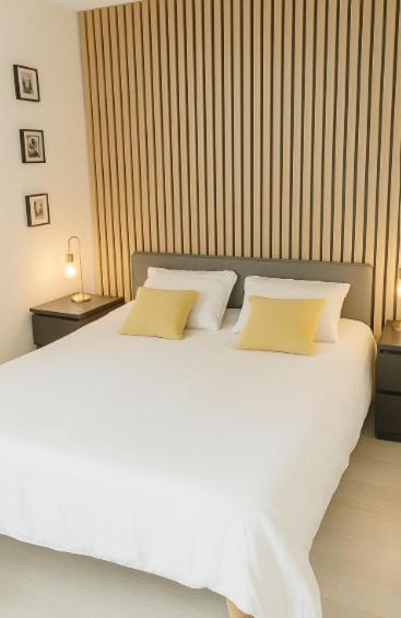 Chambres cosy climatisée proche cnpe Bugey - via rhona avec piscine - 4