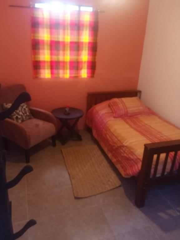 Hostel del bosque - 1