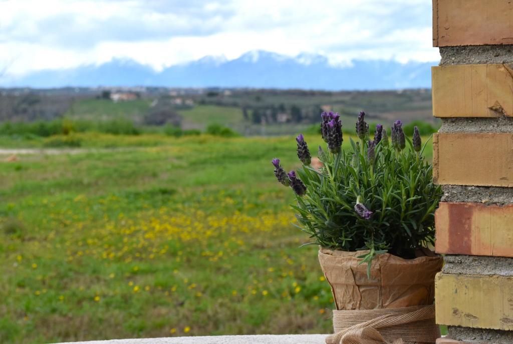 Agriturismo Arkadia - 4