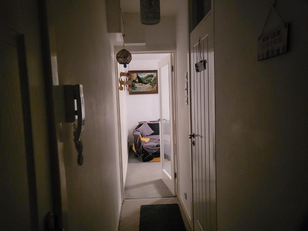 Nice (Clarendon Court Torquay) - photo 4
