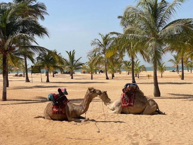 Keur Twins, Saly Portudal