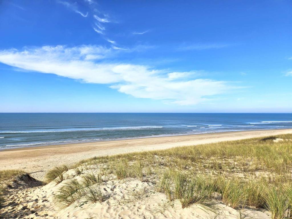 Villa plain-pied avec piscine et jardin arboré à Lège-Cap-Ferret - 5