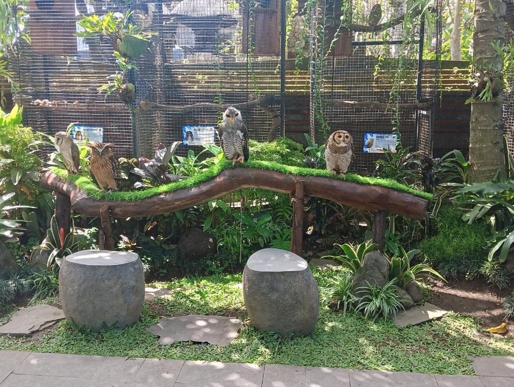 周辺案内
