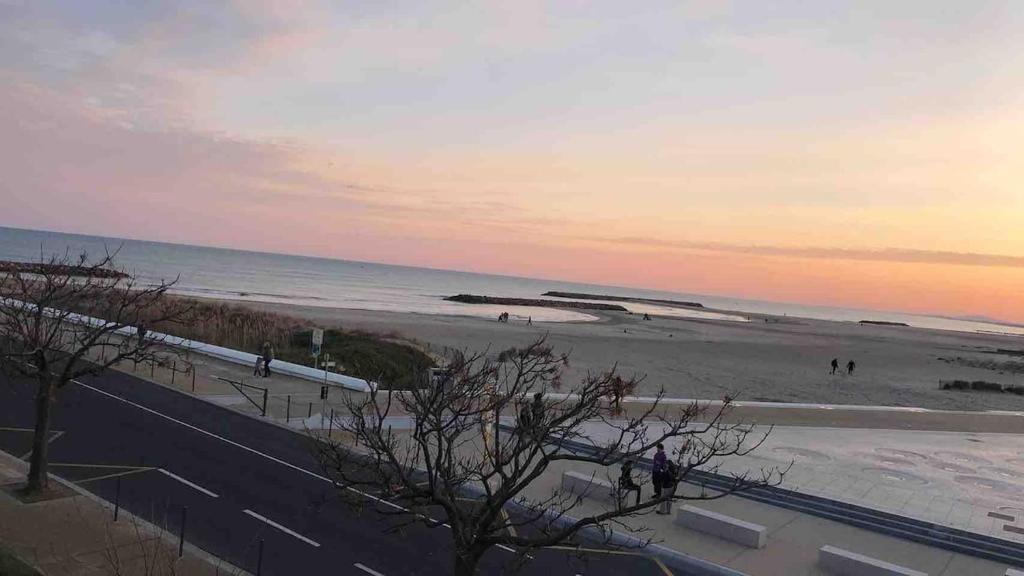 T3 Vue Superbe sur mer et plage - 2 Chambres - 5