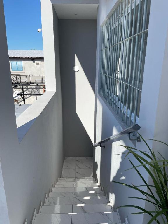 Departamento zona centro 2 - 5