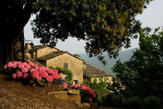 Cortona Village Heights Two Bedroom - 3