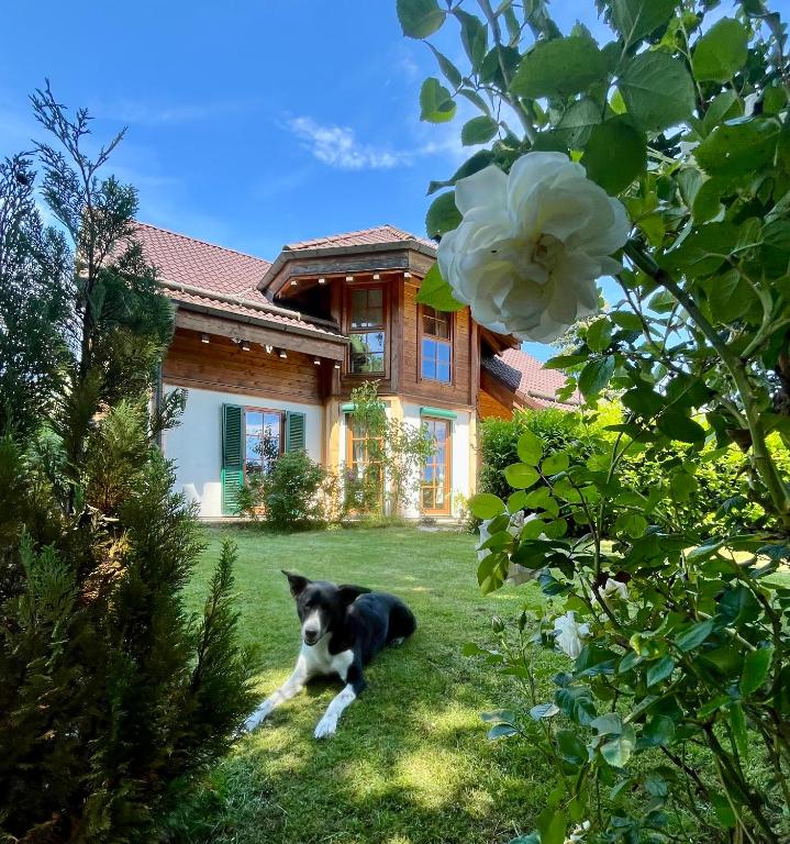 Biohauszeit im Tiroler-Holzhaus, Bad Elster