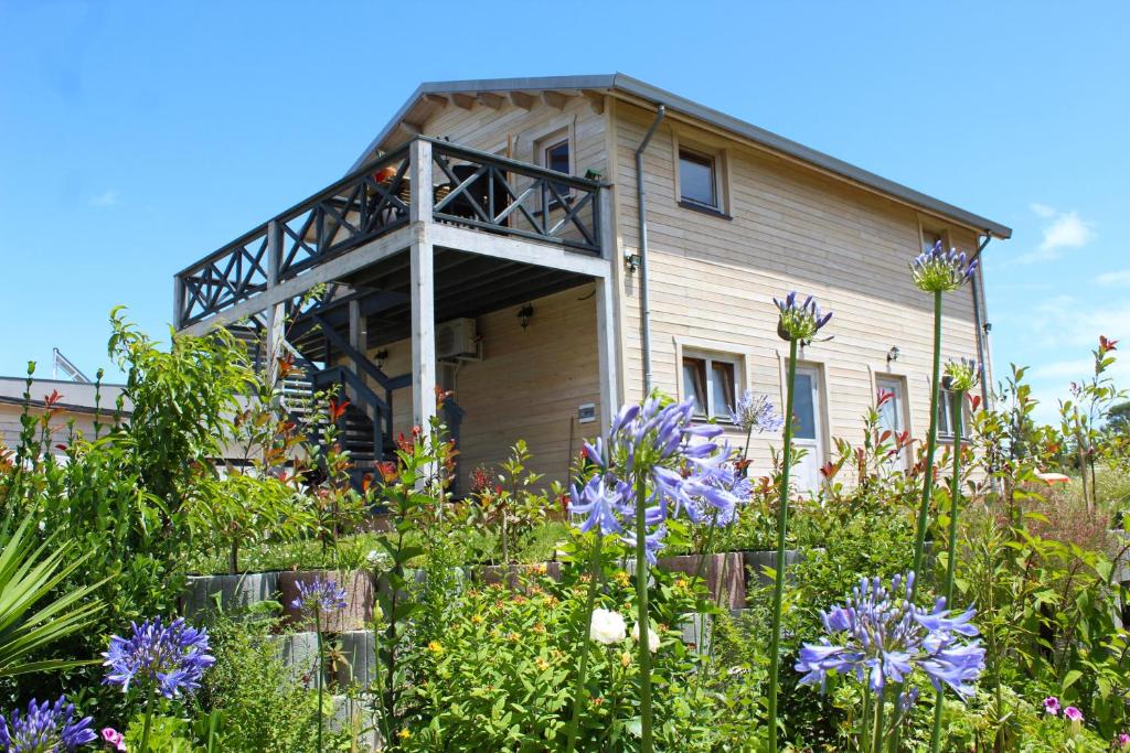O Gato do Mar, Viana do Castelo