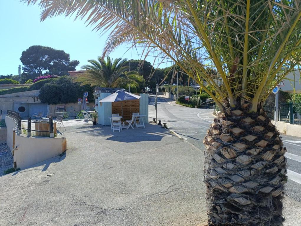 Coquet appartement avec piscine à 200m de la plage - 5
