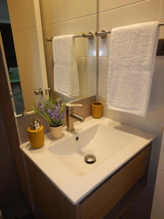 Hermoso Departamento 7 en Concepción con Terraza y Estacionamiento - 3