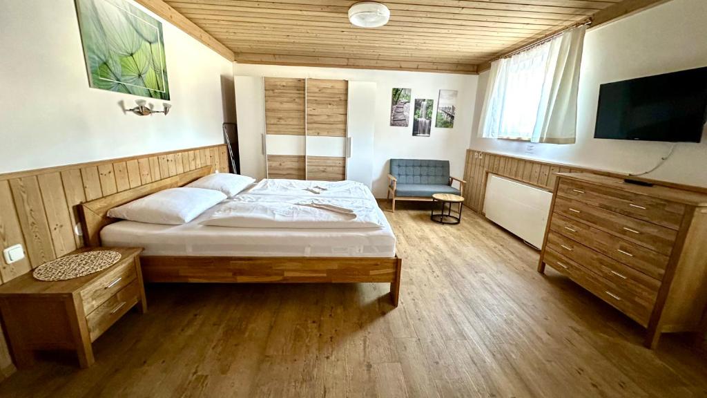 Living Apartments Saalbach incl Joker Card in Summer - 5