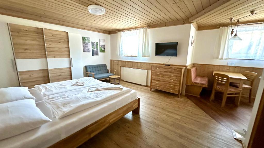 Living Apartments Saalbach incl Joker Card in Summer - 4