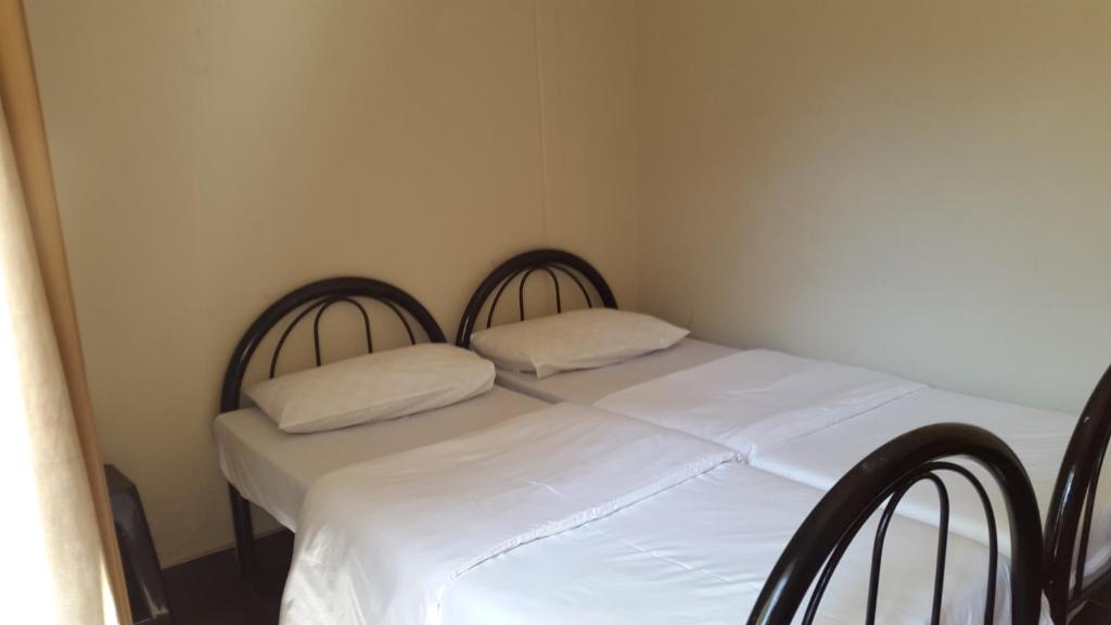 Accoustix Backpackers Hostel photo