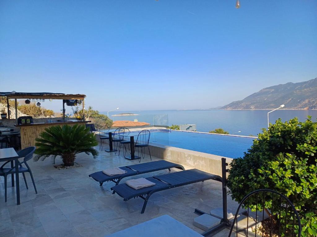 Ảnh 4