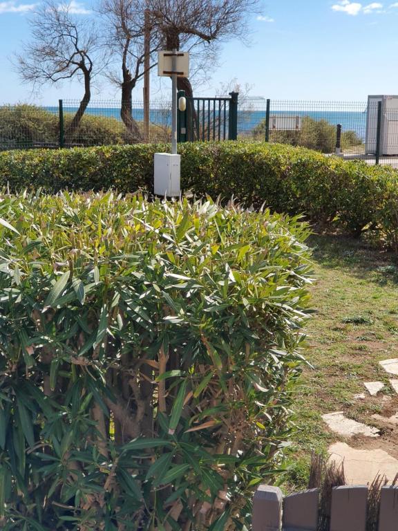 Appart CAP D'AGDE, Cap d'Agde