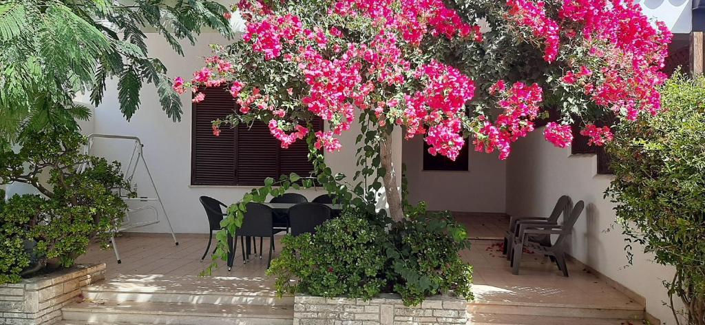 Villetta Zagare - 2