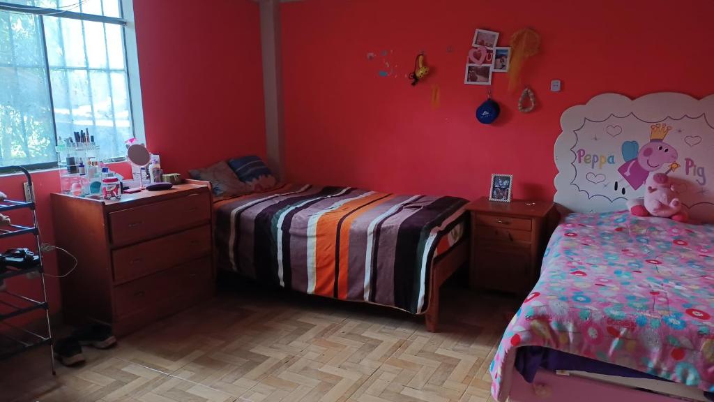 Mini departamento - El Hospedaje de Liz - Carhuaz - 2