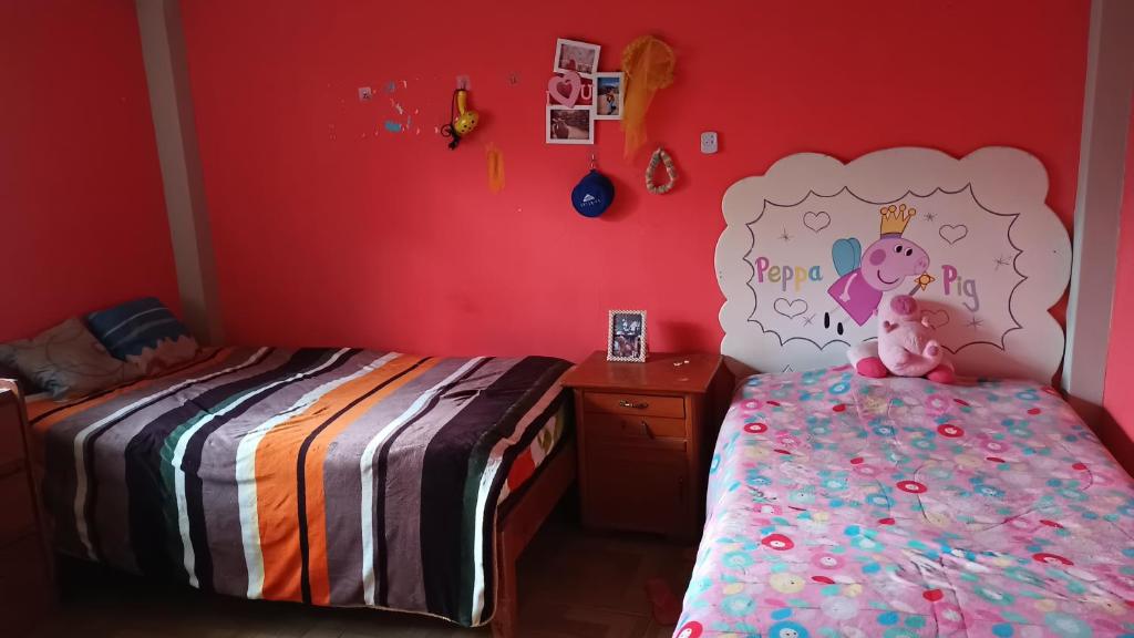 Mini departamento - El Hospedaje de Liz - Carhuaz - 1