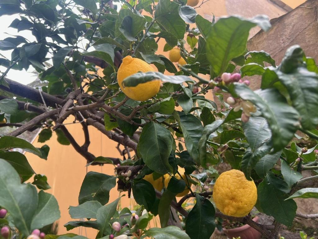 Appartamento vicino al mare - 1