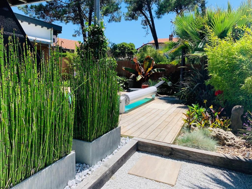 Villa classée 5 étoiles 200m de la plage piscine chauffée 5 vélos - 3
