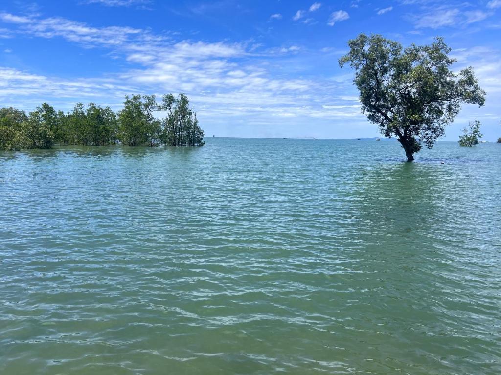 Surrounding environment