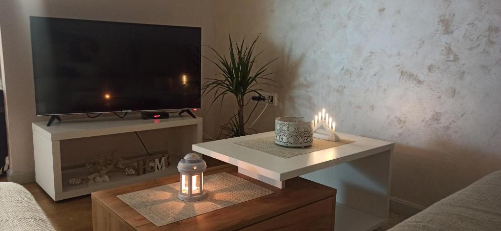Apartman Emma Vrnjačka Banja - 5