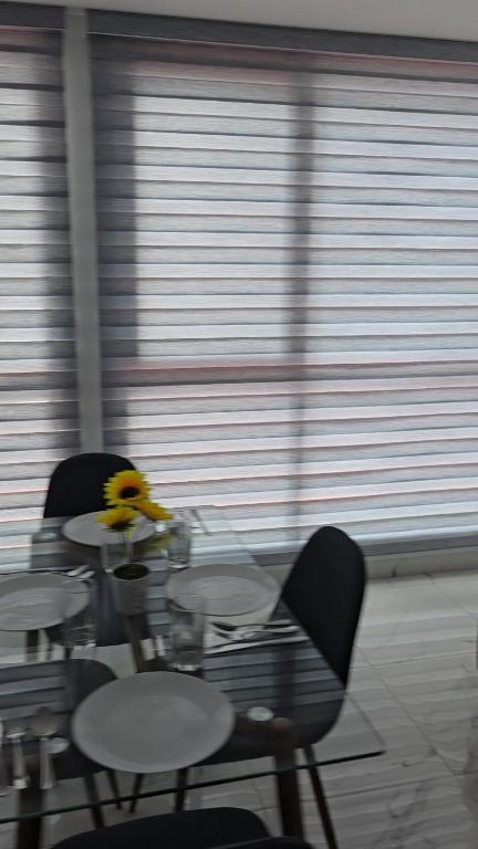 MINI DESiGN HOUSE, Panamá