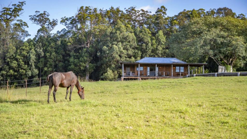 The Hitching Rail Hut - Romantic, Rural, Horses, Coramba