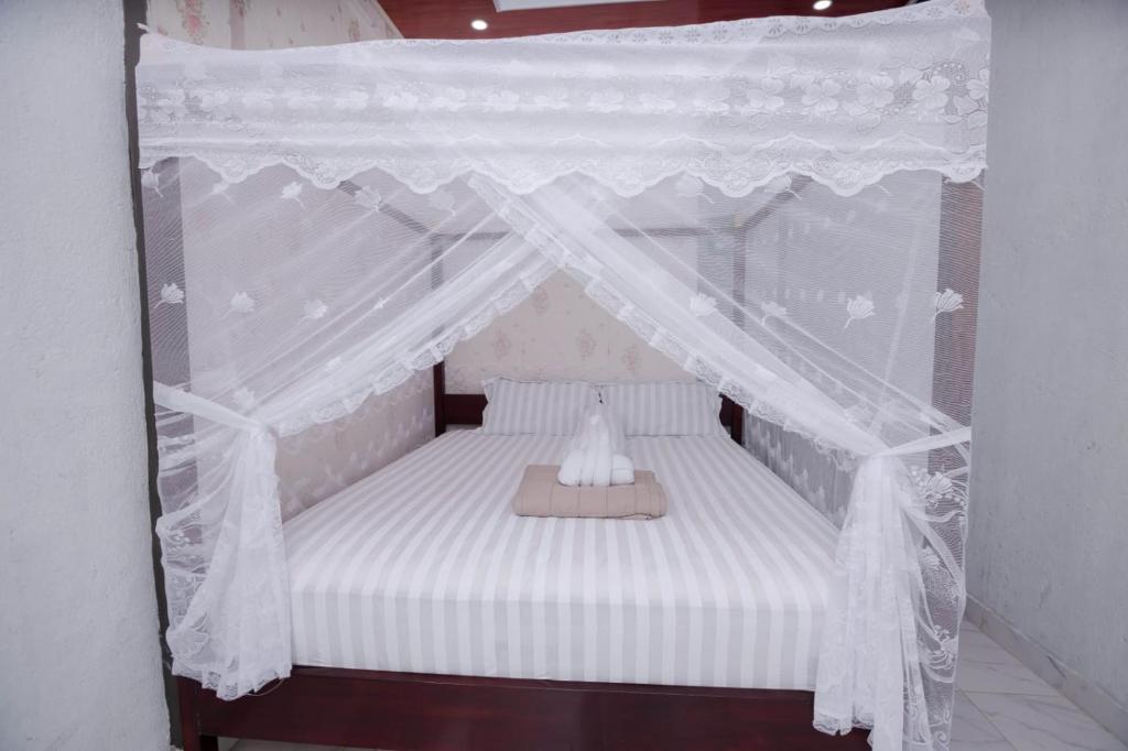 Explore Sumatra's Wonders, Bukit Lawang