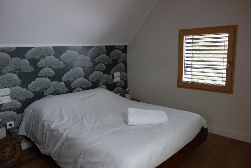 Hotel le Chalet - 4