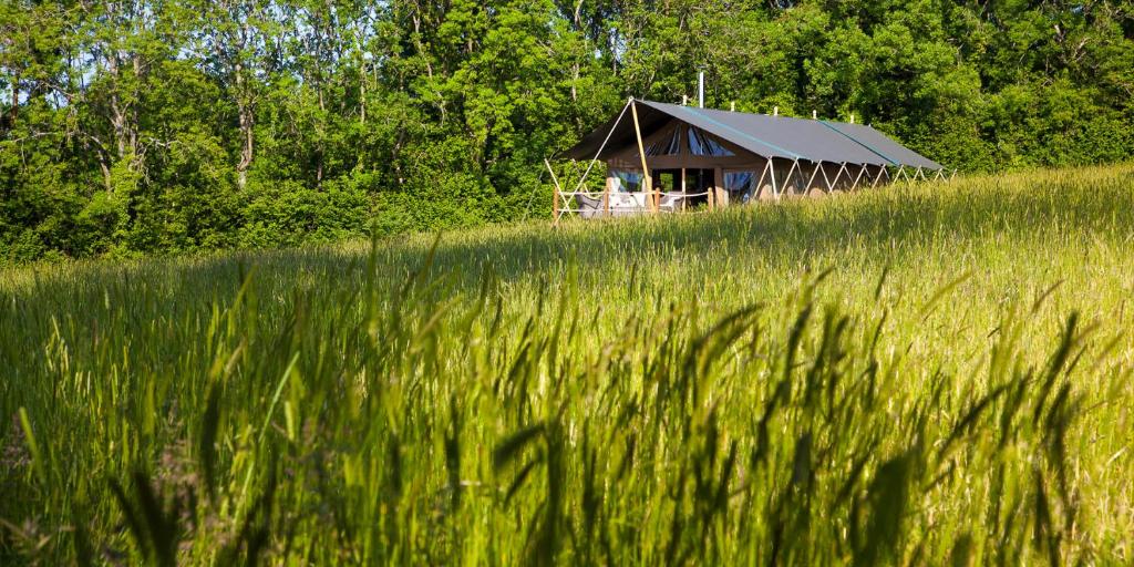 Brocklands Farm Glamping, Petersfield