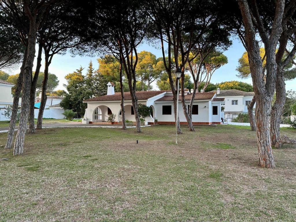 Pinos Verdes - 3