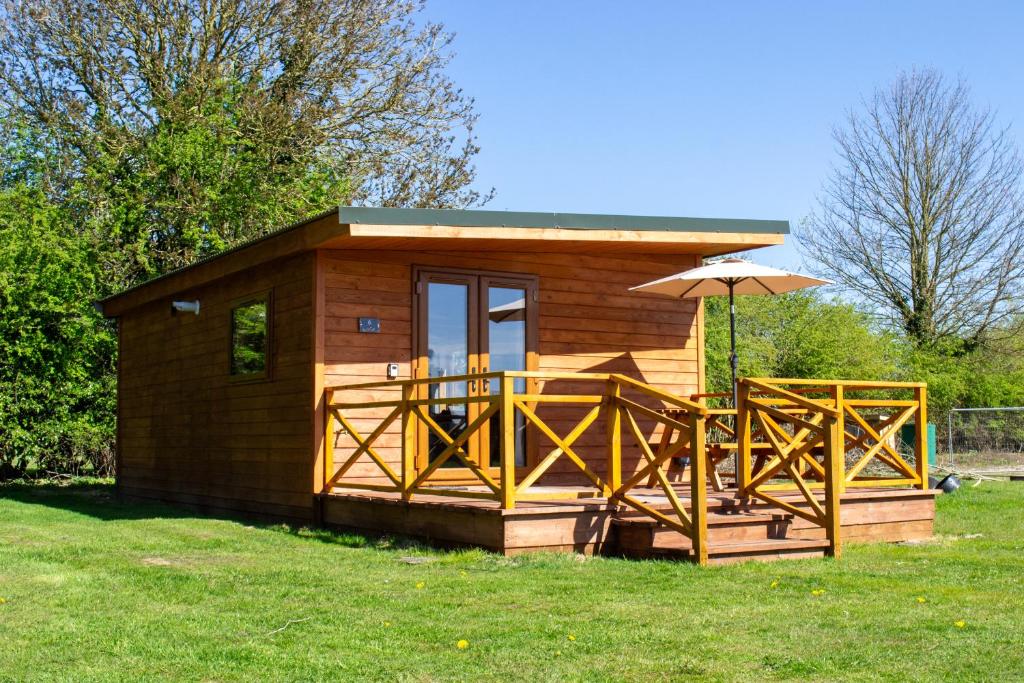 Tulip, Cherry Burton