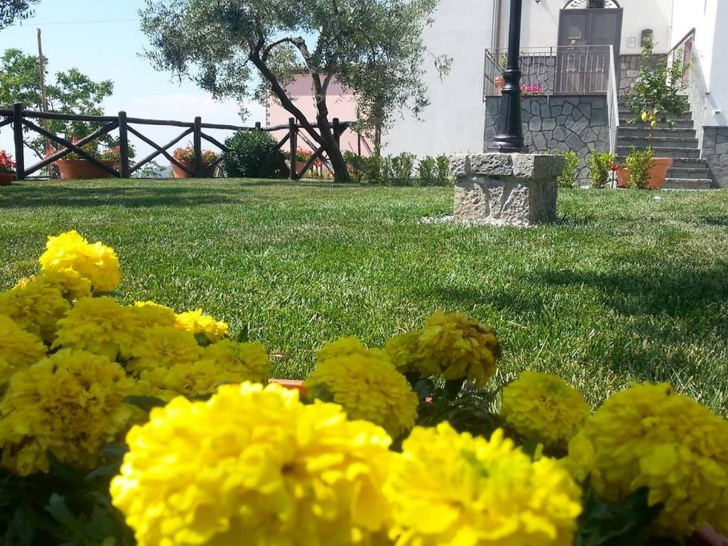 De Vivo Realty - Il Pozzo dei Desideri - 5