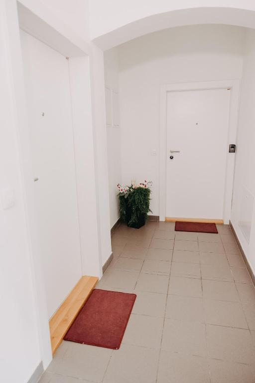 Apartments Miki's 3